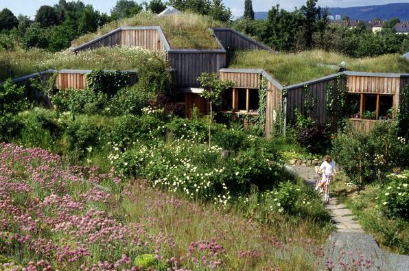 green roofed house